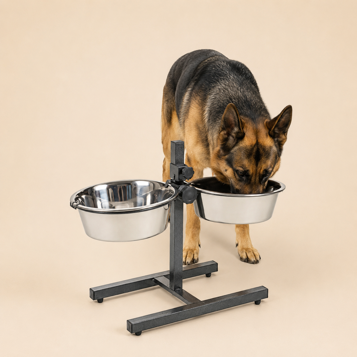 Stainless Steel Feeding Bowls for Pet (Multicolor, L)