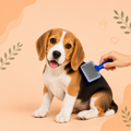 Pet Grooming Slicker Brush for Dogs & Cats | Self Cleaning Hair Remover Brush
