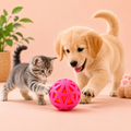 Rubber Squeaky Ball Toy for Dog (Multicolor)