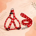 Happy Tails Premium Nylon Pet Harness & Leash Set for Puppies and Dogs